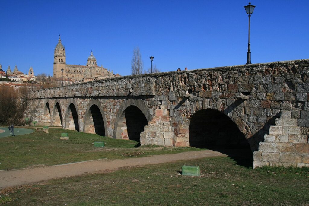 Puente Romano con Salamanca al fondo