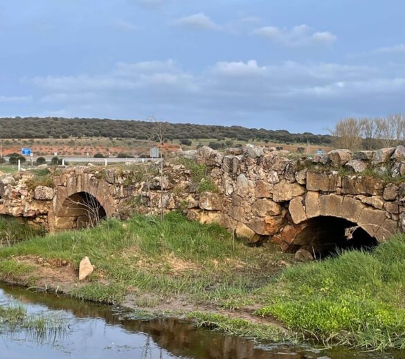 Puente de Calzadilla de la Valmuza, patrimonio cultural singular de CYL