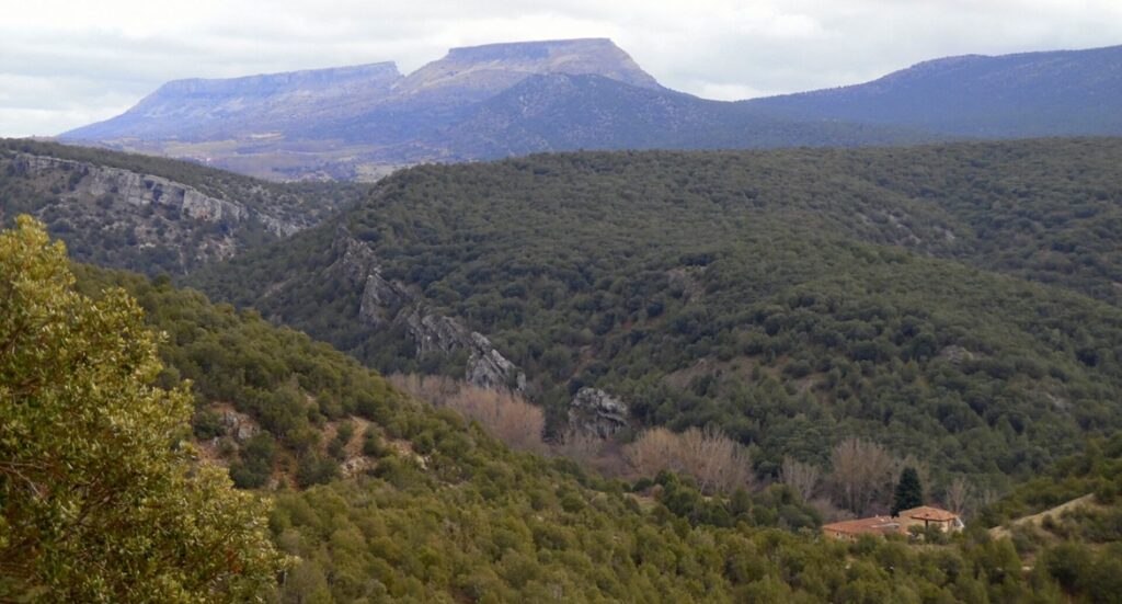 Parque natural de el sabinar del Arlanza (Burgos)