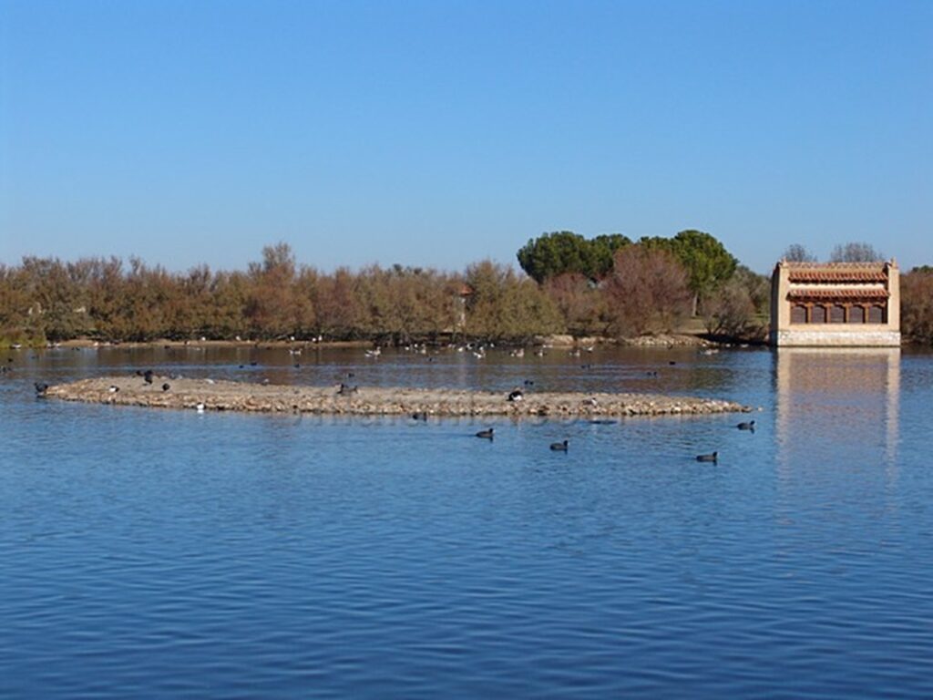 Imagen de una de las Lagunas de Villafáfila