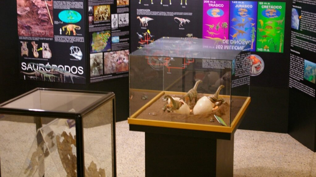 El Museo de los Dinosaurios está repleto de ilustraciones, reconstrucciones, paneles, vitrinas, audiovisuales y maquetas