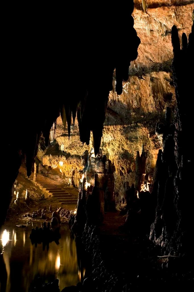 Bosque: Cuevas de Valporquero en Burgos