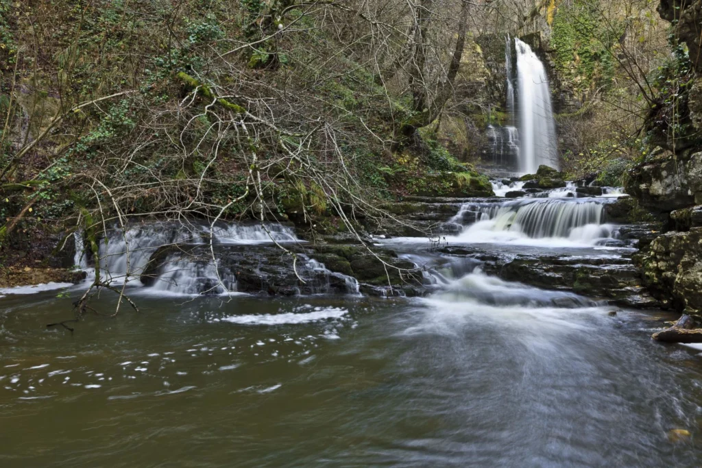 Bosque: Cascada de las Pisas en Burgos