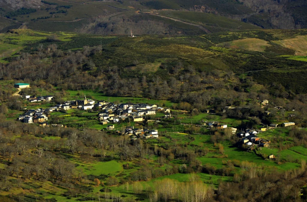 Bosque: Castañar de Hermisende en Zamora