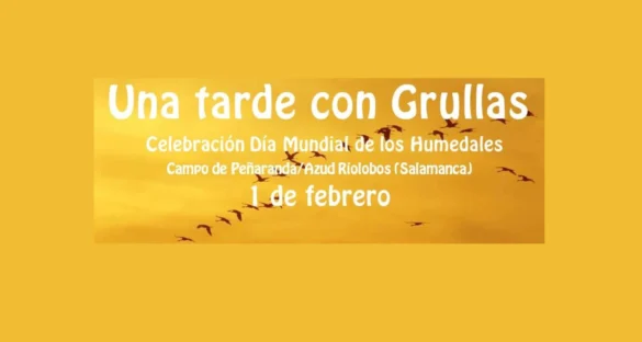 Una tarde con grullas en Azud de Riolobos y El Campo de Peñaranda