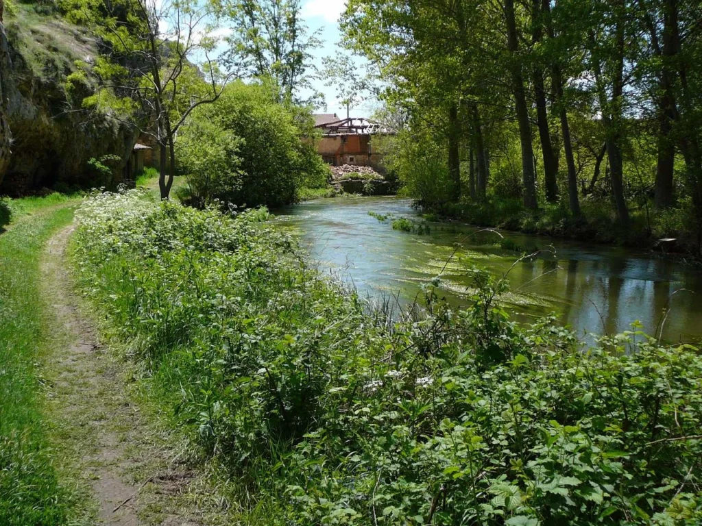Ruta: Cañón del Río Lobos