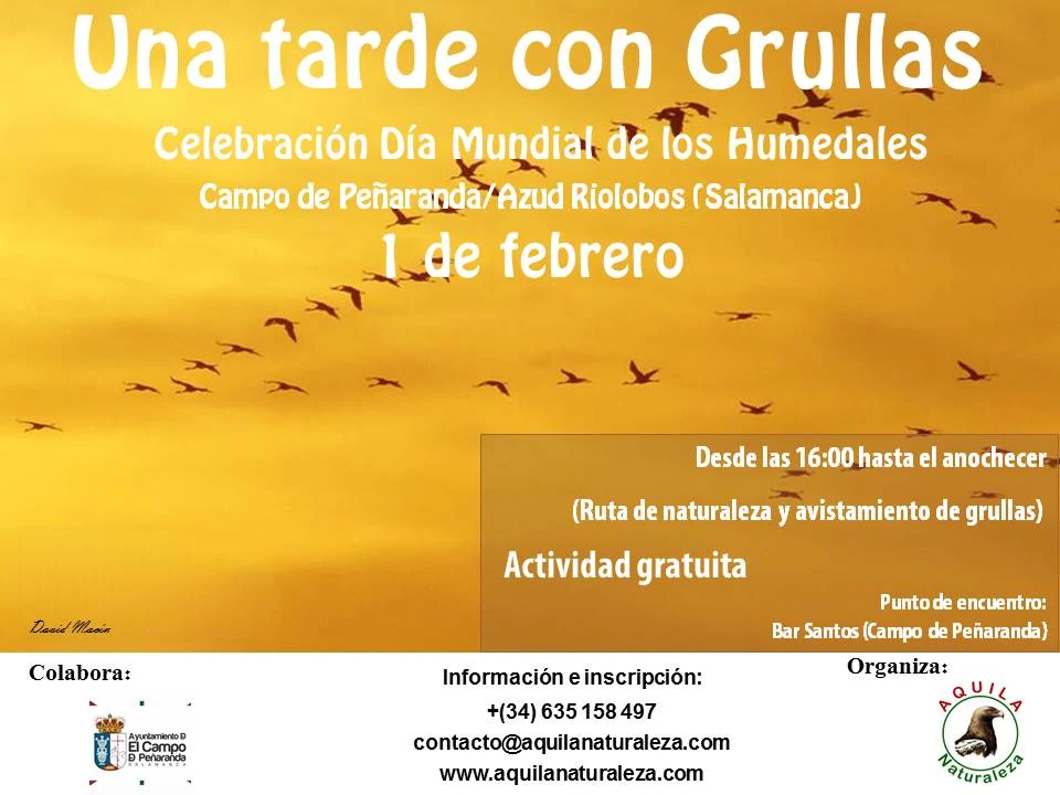 Una tarde con grullas en Azud de Riolobos y El Campo de Peñaranda