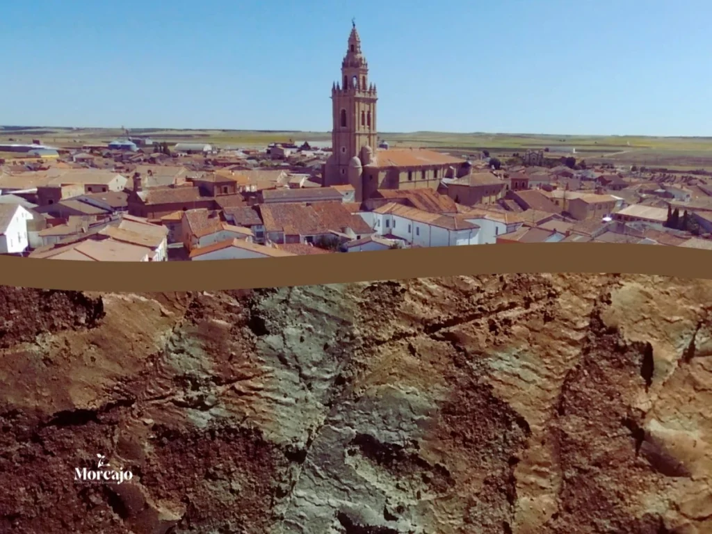 Bodegas Nava del Rey - Morcajo