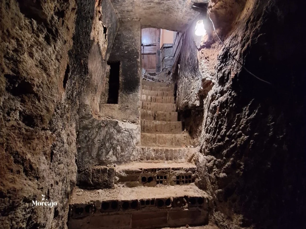 Bodegas Nava del Rey: Morcajo