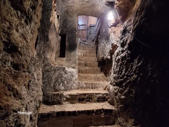 Bodegas Nava del Rey: Morcajo