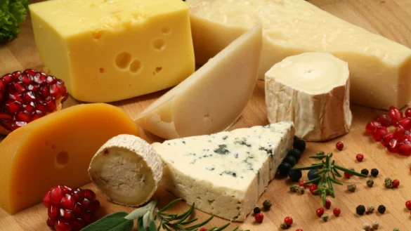 I Feria del Queso en Villalba de Losa