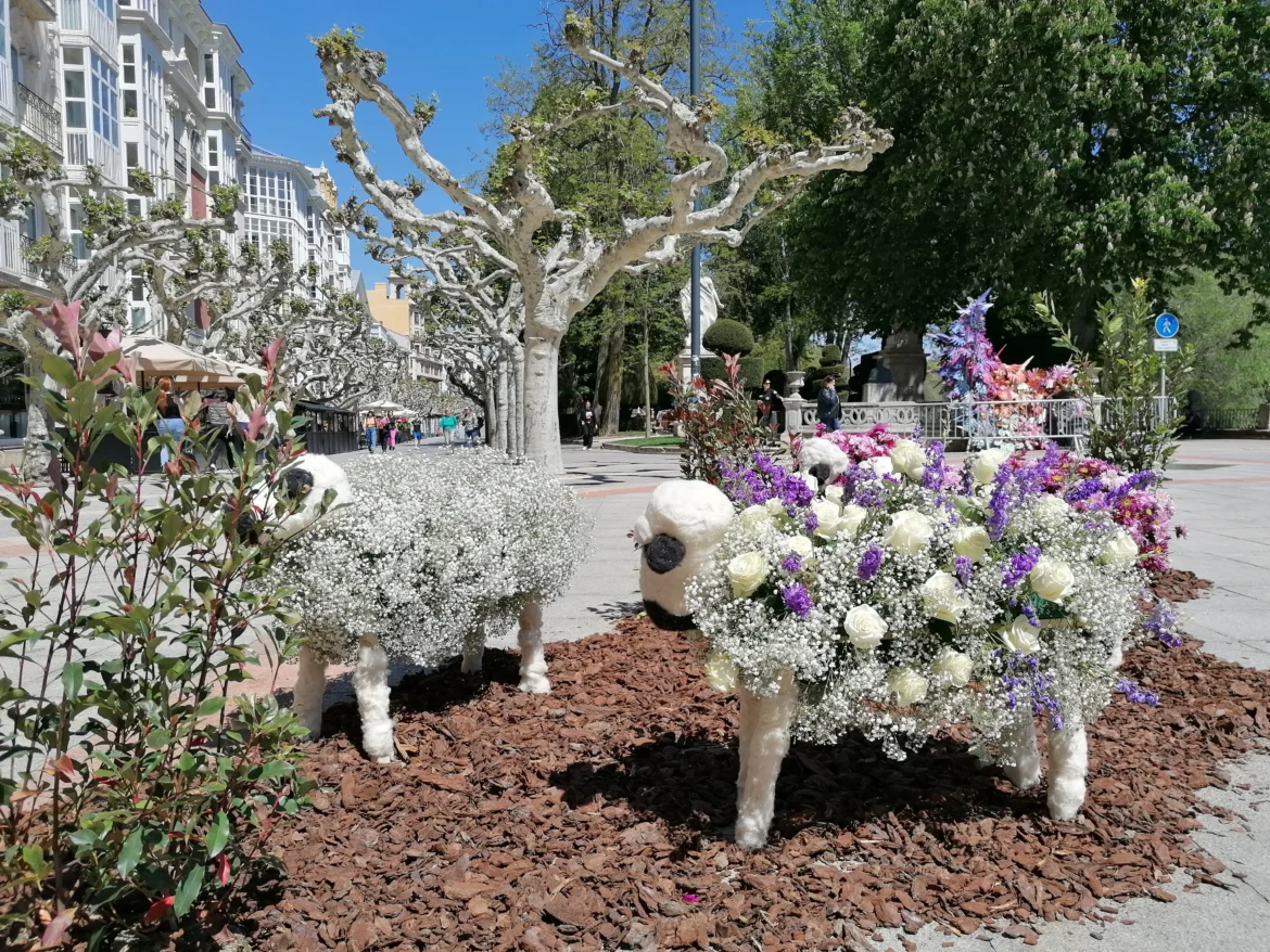 Fiesta de las Flores (Burgos)