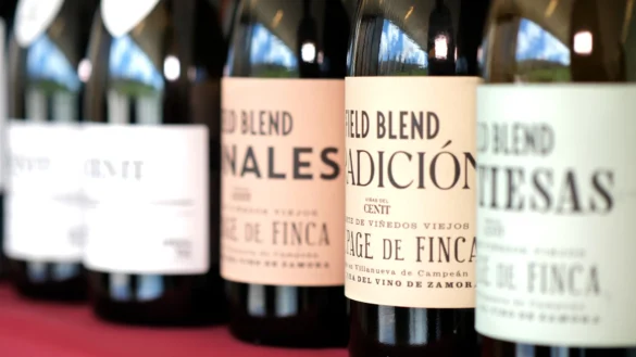 Vino de Zamora en el III Salón del Vino de Ávila