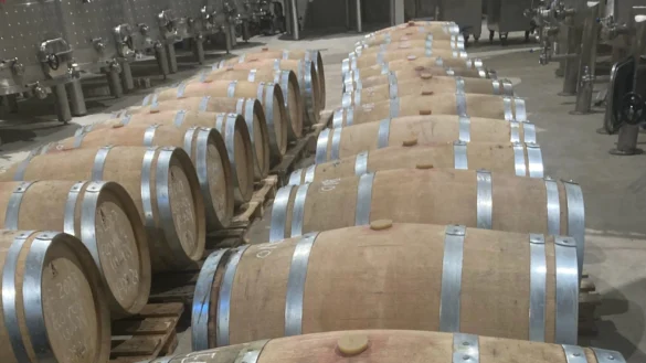 Garcibuey: donde el paisaje se transforma en arte... y en vino