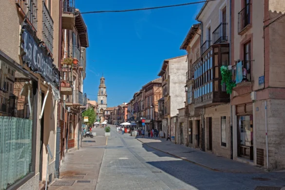 Toro en Zamora con la jornada Construyendo Duero Sacro